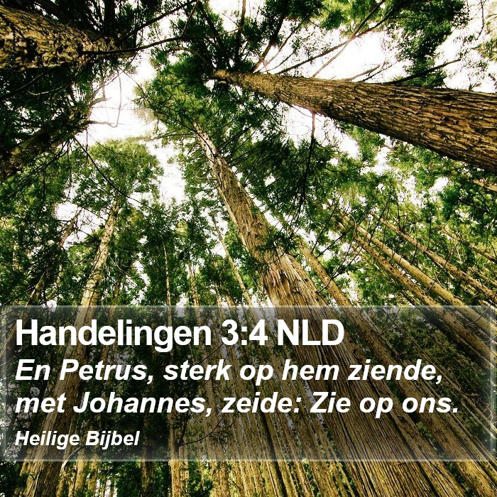 Handelingen 3:4 NLD Bible Study