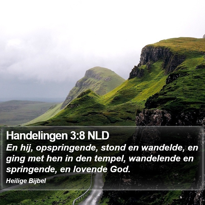 Handelingen 3:8 NLD Bible Study