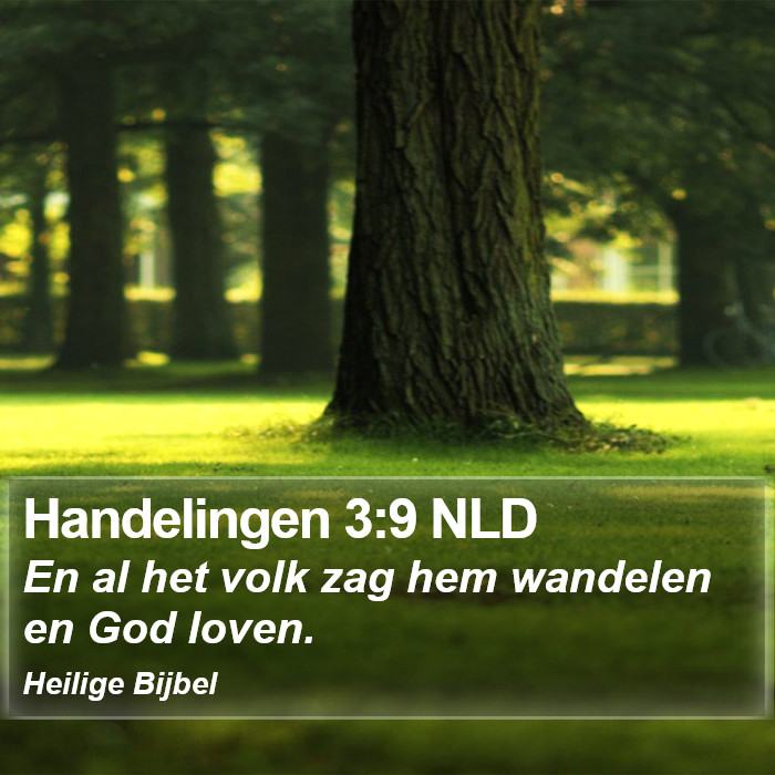 Handelingen 3:9 NLD Bible Study