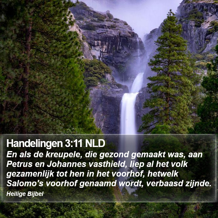 Handelingen 3:11 NLD Bible Study