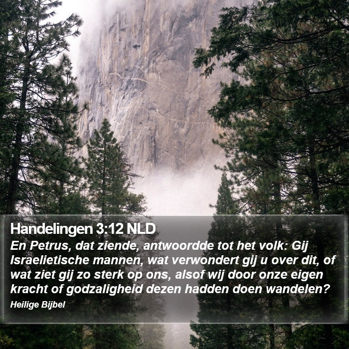 Handelingen 3:12 NLD Bible Study