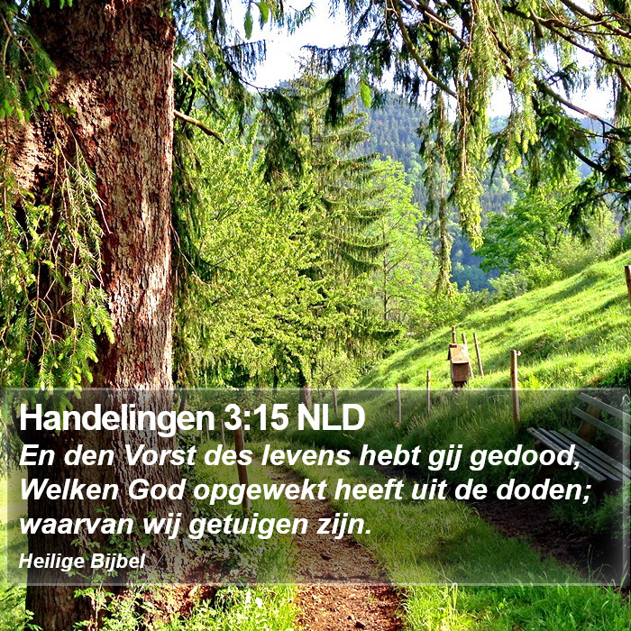 Handelingen 3:15 NLD Bible Study