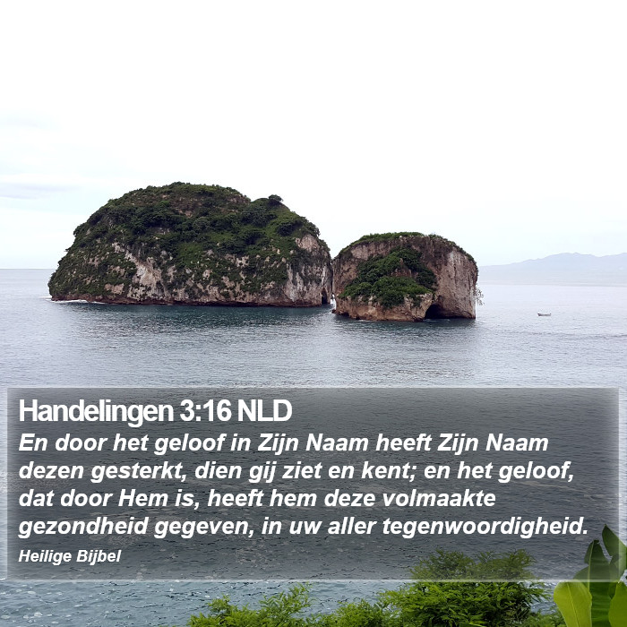 Handelingen 3:16 NLD Bible Study