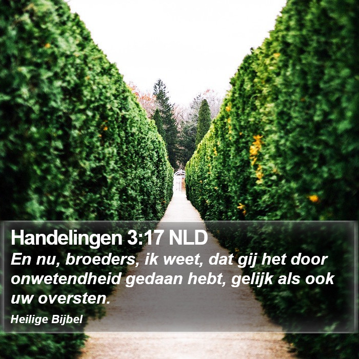 Handelingen 3:17 NLD Bible Study