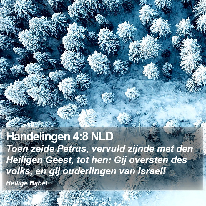 Handelingen 4:8 NLD Bible Study