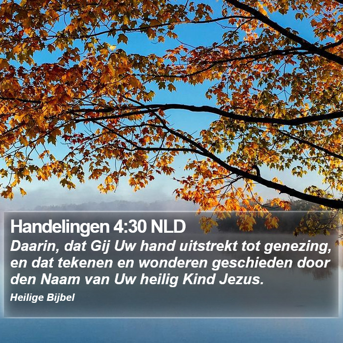 Handelingen 4:30 NLD Bible Study