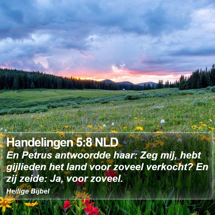 Handelingen 5:8 NLD Bible Study