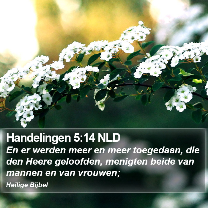 Handelingen 5:14 NLD Bible Study