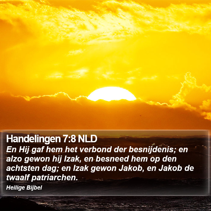 Handelingen 7:8 NLD Bible Study