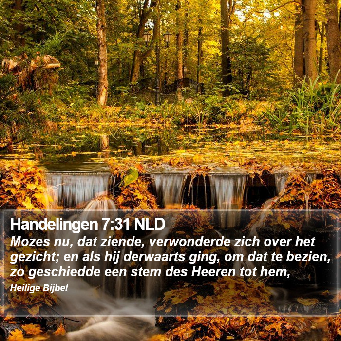 Handelingen 7:31 NLD Bible Study