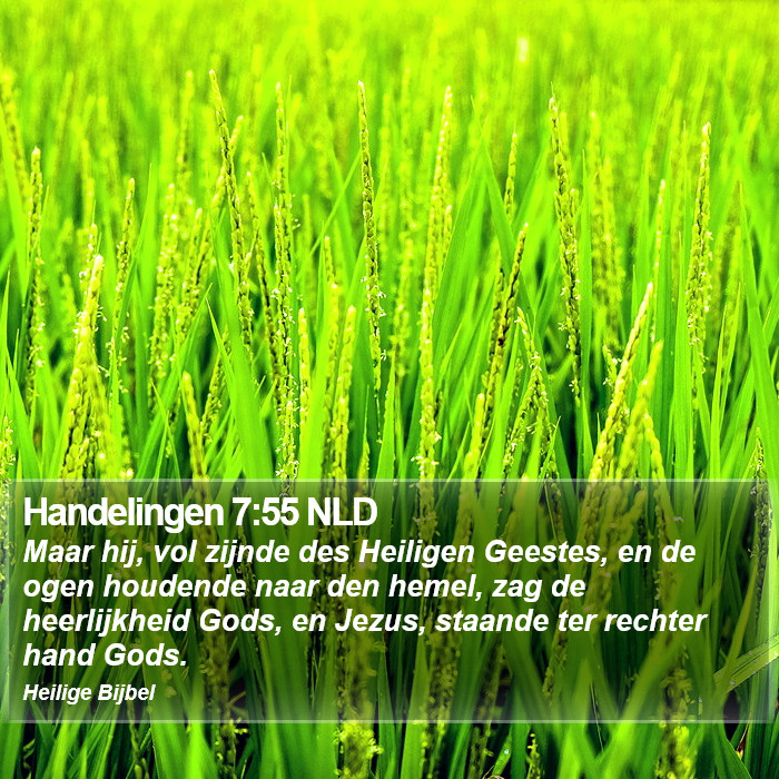 Handelingen 7:55 NLD Bible Study
