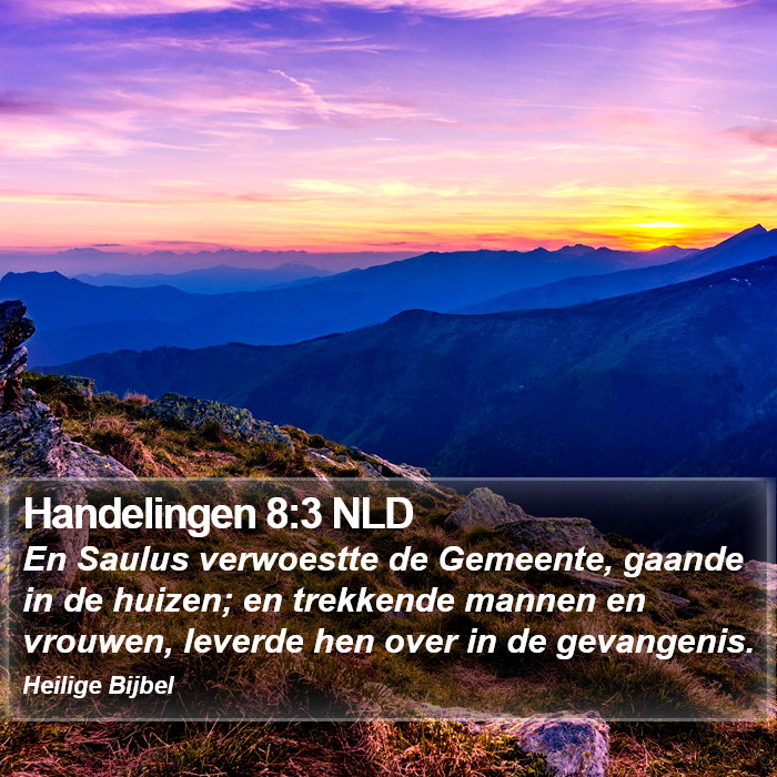 Handelingen 8:3 NLD Bible Study