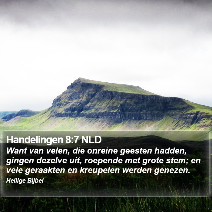 Handelingen 8:7 NLD Bible Study