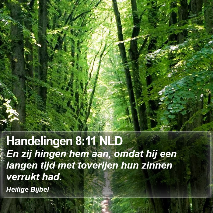 Handelingen 8:11 NLD Bible Study