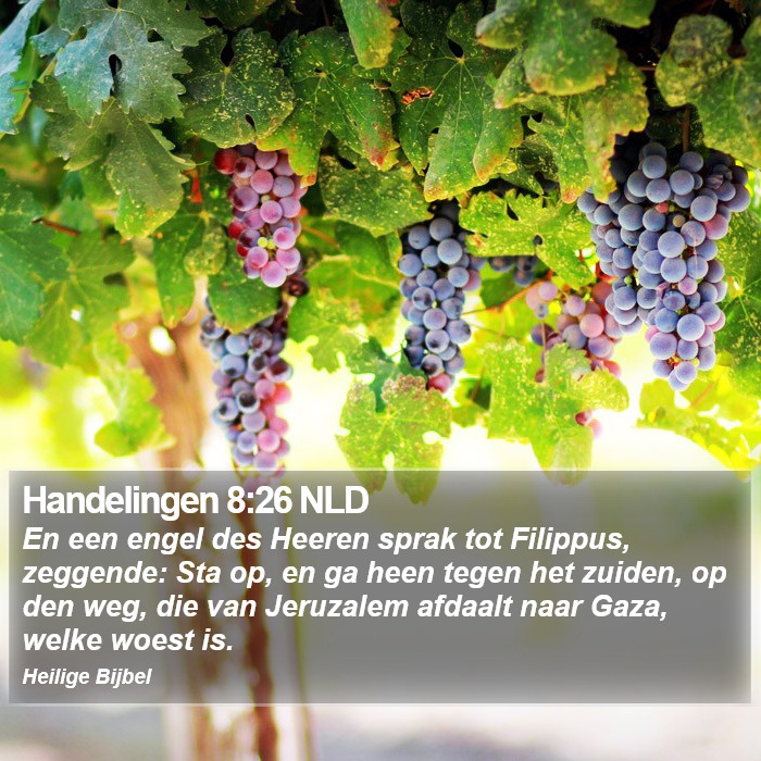 Handelingen 8:26 NLD Bible Study