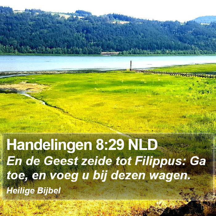 Handelingen 8:29 NLD Bible Study