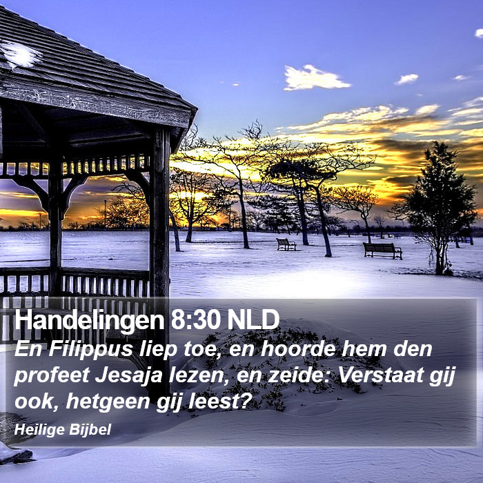 Handelingen 8:30 NLD Bible Study