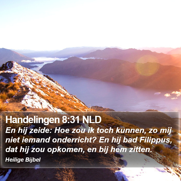 Handelingen 8:31 NLD Bible Study