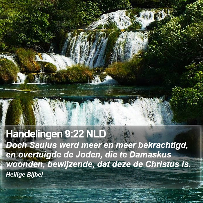 Handelingen 9:22 NLD Bible Study