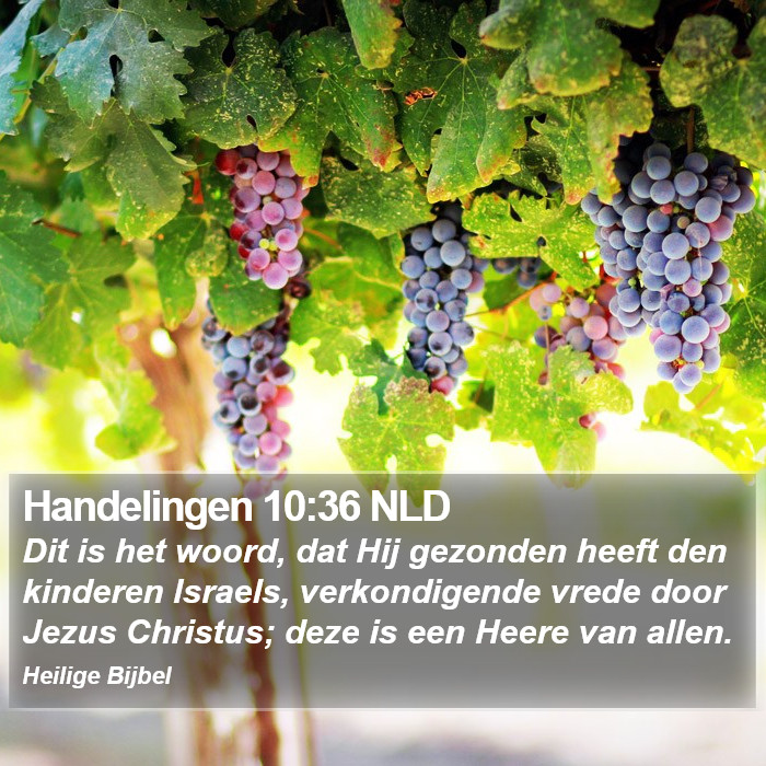 Handelingen 10:36 NLD Bible Study