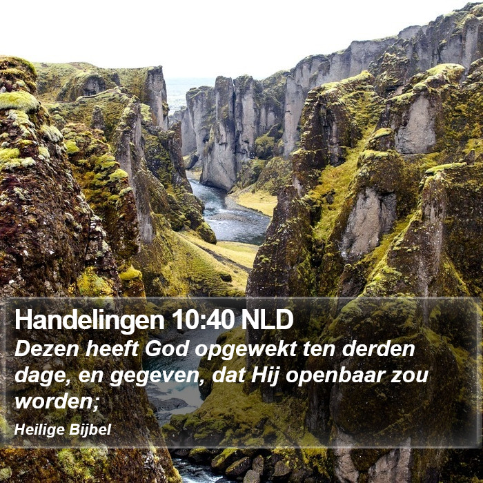 Handelingen 10:40 NLD Bible Study