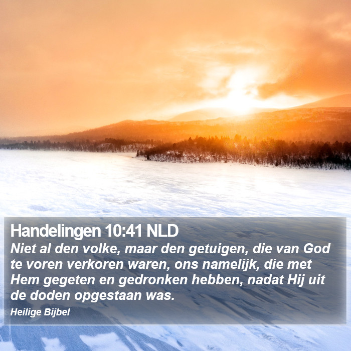 Handelingen 10:41 NLD Bible Study