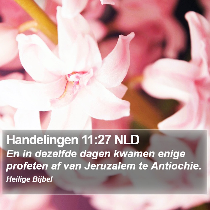 Handelingen 11:27 NLD Bible Study