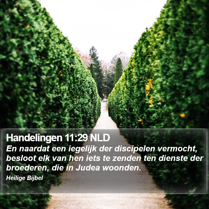 Handelingen 11:29 NLD Bible Study