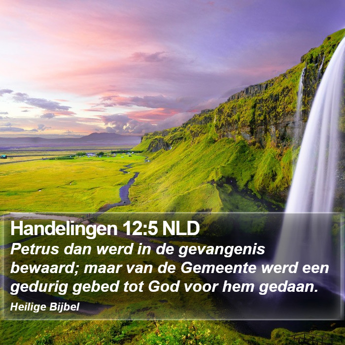 Handelingen 12:5 NLD Bible Study