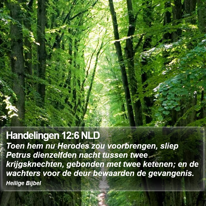 Handelingen 12:6 NLD Bible Study