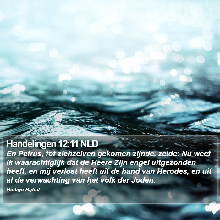 Handelingen 12:11 NLD Bible Study