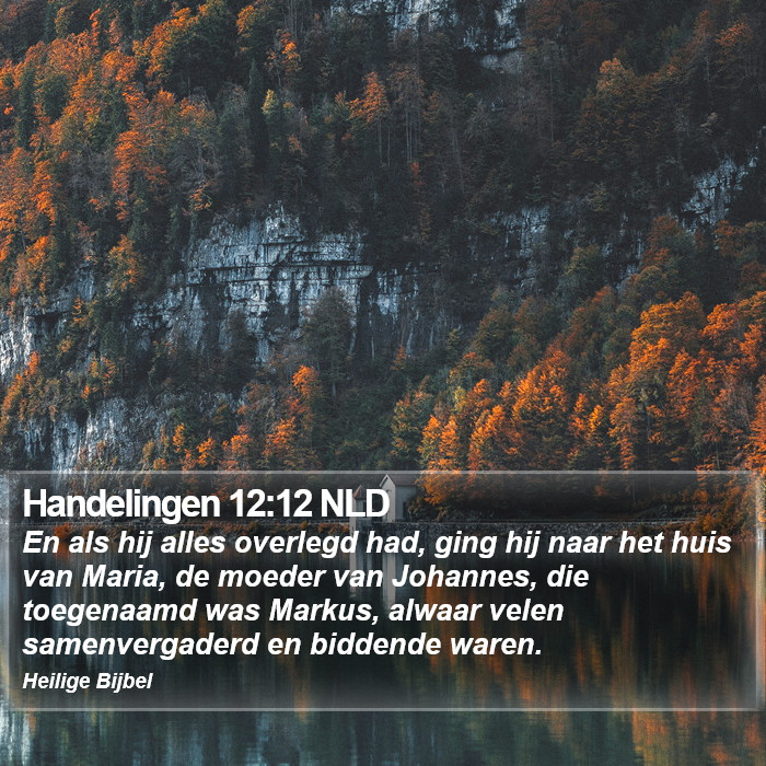 Handelingen 12:12 NLD Bible Study