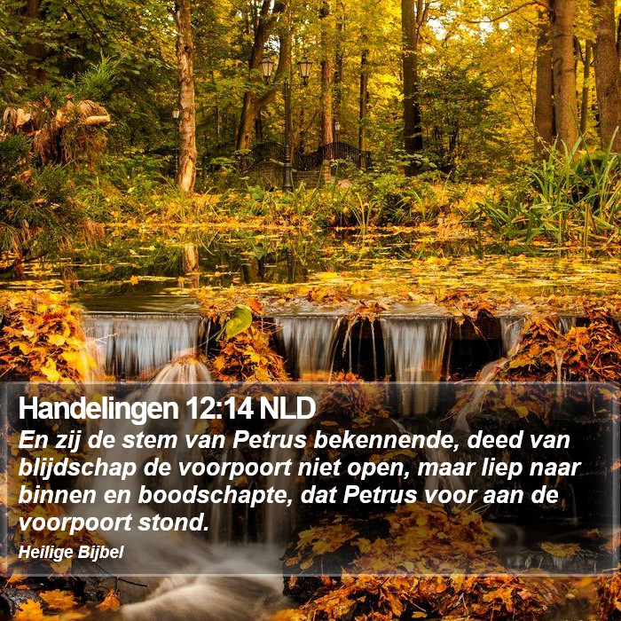 Handelingen 12:14 NLD Bible Study