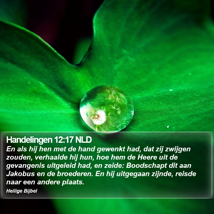 Handelingen 12:17 NLD Bible Study