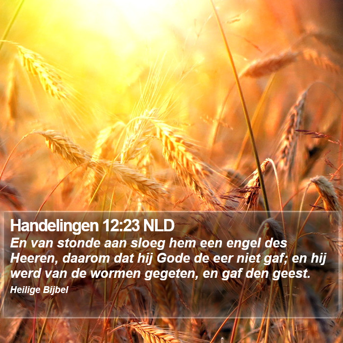 Handelingen 12:23 NLD Bible Study