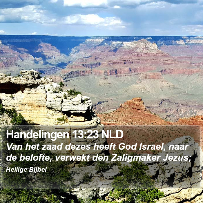 Handelingen 13:23 NLD Bible Study