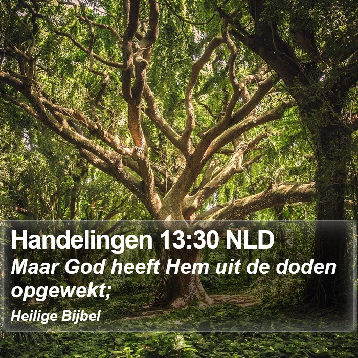 Handelingen 13:30 NLD Bible Study