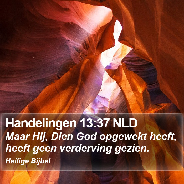 Handelingen 13:37 NLD Bible Study