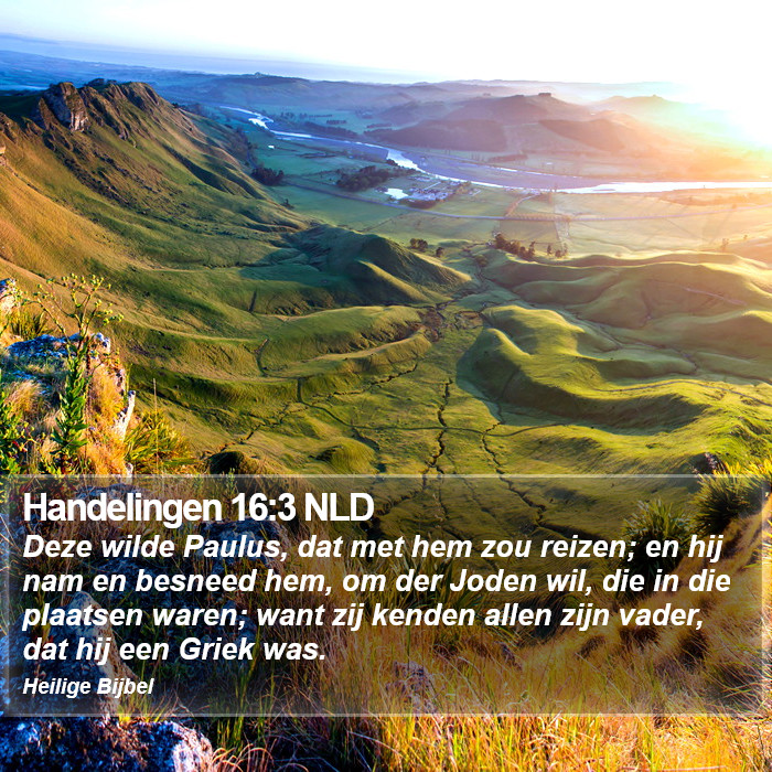 Handelingen 16:3 NLD Bible Study