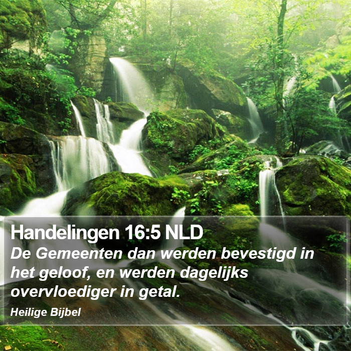 Handelingen 16:5 NLD Bible Study