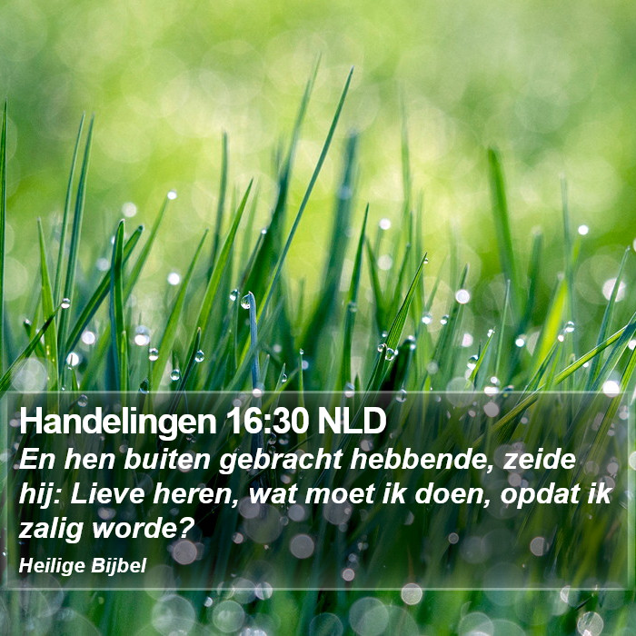 Handelingen 16:30 NLD Bible Study