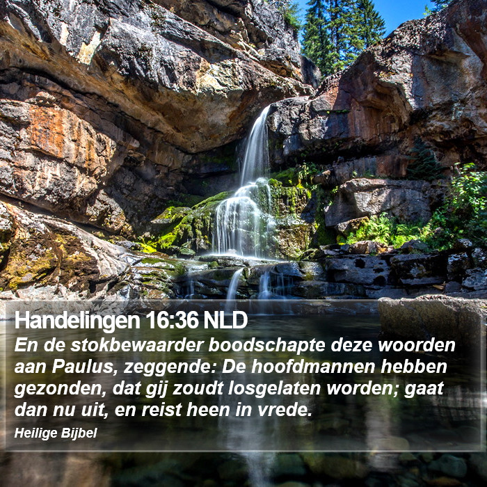 Handelingen 16:36 NLD Bible Study