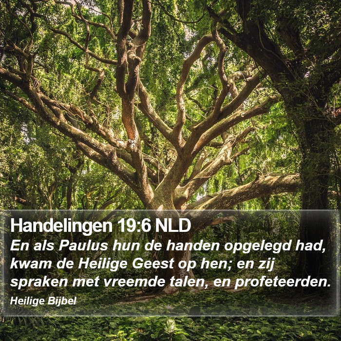 Handelingen 19:6 NLD Bible Study