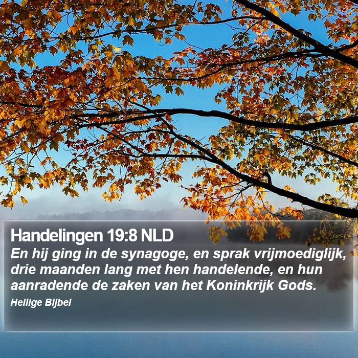 Handelingen 19:8 NLD Bible Study
