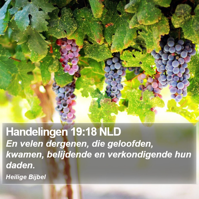 Handelingen 19:18 NLD Bible Study