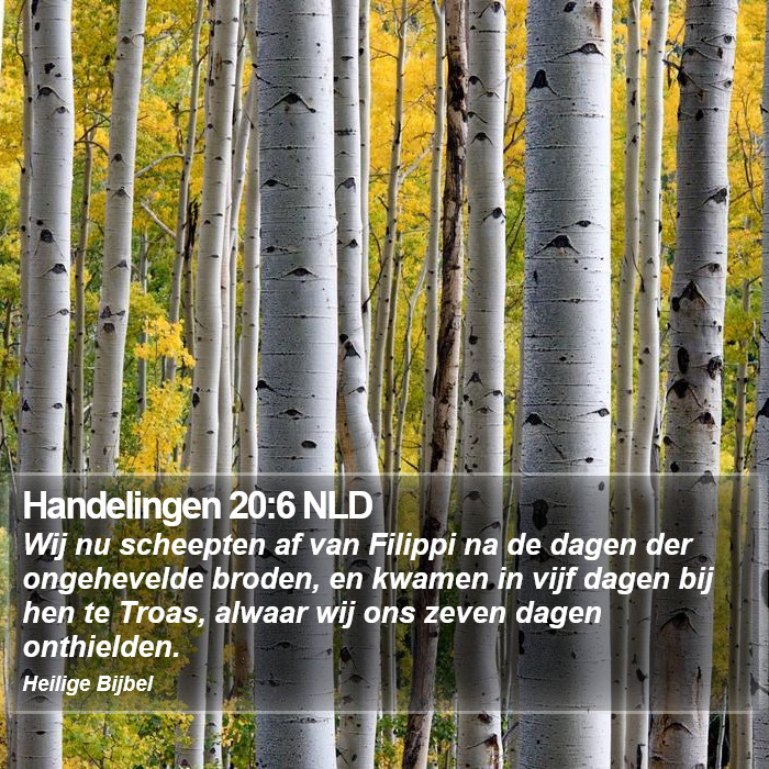 Handelingen 20:6 NLD Bible Study