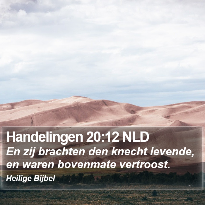Handelingen 20:12 NLD Bible Study