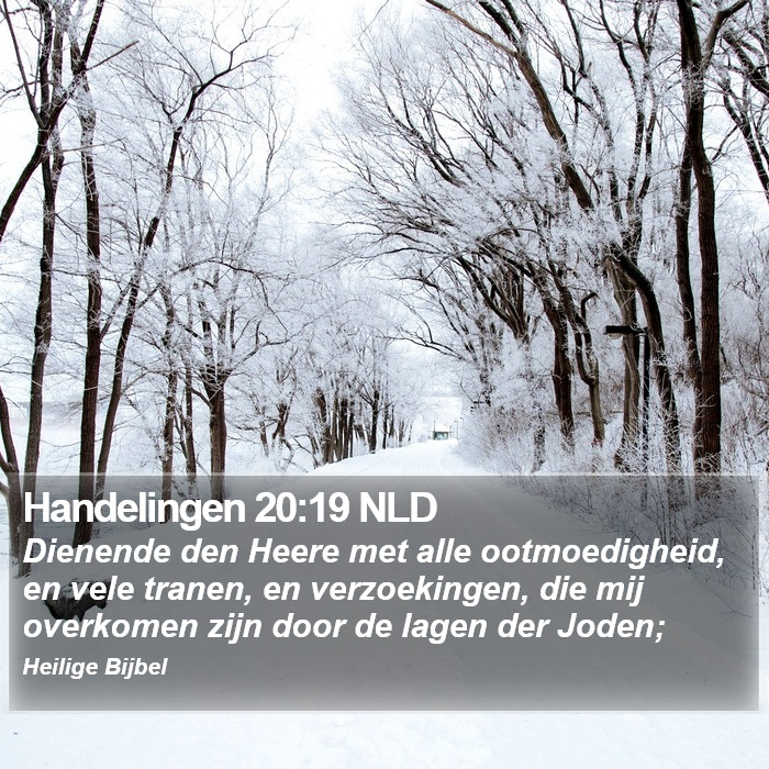 Handelingen 20:19 NLD Bible Study