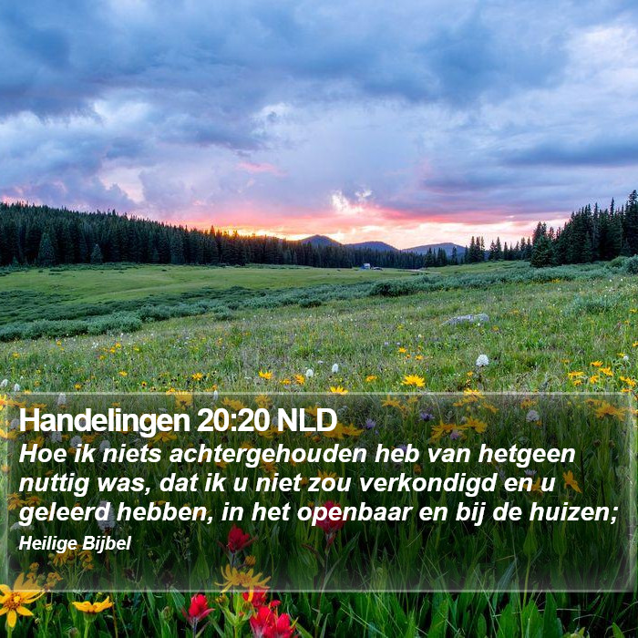 Handelingen 20:20 NLD Bible Study
