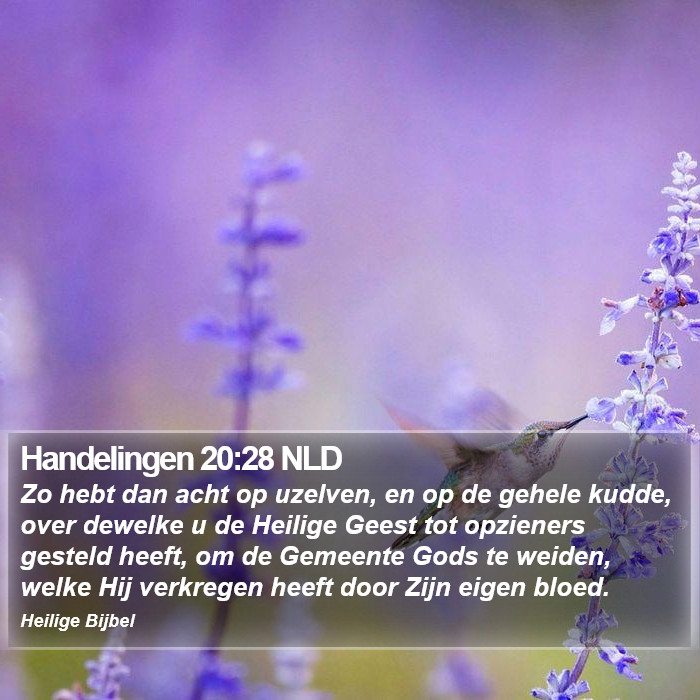Handelingen 20:28 NLD Bible Study